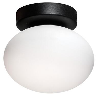 Потолочный светильник Zuma Line 1188 OMI фото №1