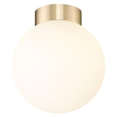 Потолочный светильник Zuma Line C0574-01D-F7AA ARCTURUS фото №1