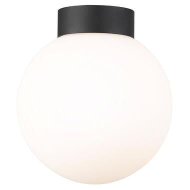 Потолочный светильник Zuma Line C0574-01D-P7AA ARCTURUS фото №1