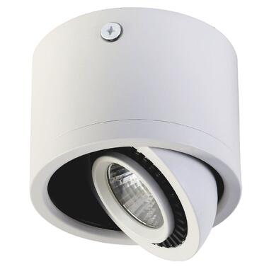 Точечный светильник LAGUNA LIGHTING 720-W фото №1