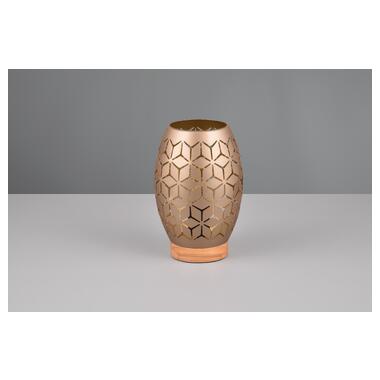 Настольная лампа REALITY R51571065 BIDAR фото №2