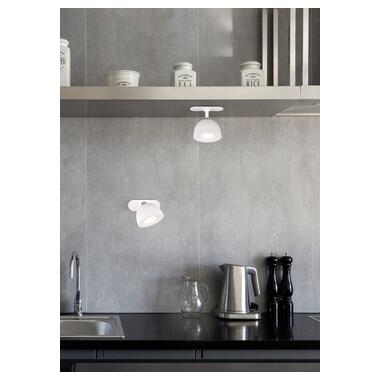 Настольная лампа REALITY R57791101 MAXIMA фото №6