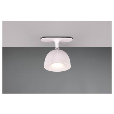 Настольная лампа REALITY R57791101 MAXIMA фото №4