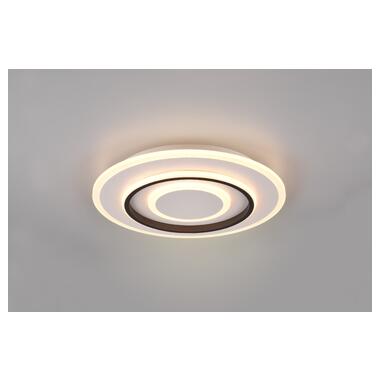 Потолочный светильник REALITY R64303131 JORA фото №1