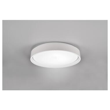 Потолочный светильник REALITY R64391031 FELIS фото №2