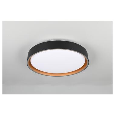 Потолочный светильник REALITY R64391080 FELIS фото №4