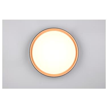 Потолочный светильник REALITY R64391080 FELIS фото №2