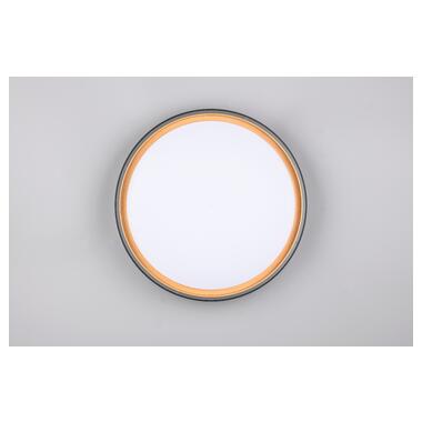 Потолочный светильник REALITY R64391080 FELIS фото №3