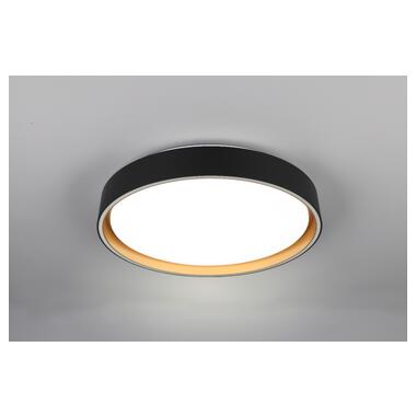 Потолочный светильник REALITY R64391080 FELIS фото №1