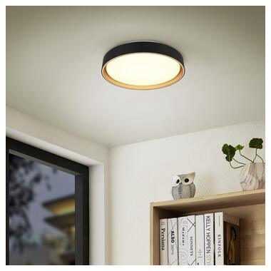 Потолочный светильник REALITY R64391080 FELIS фото №5