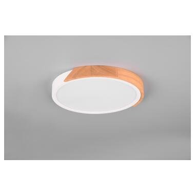 Потолочный светильник REALITY R67201131 JANO фото №3