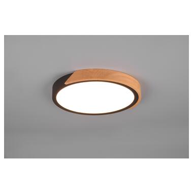 Потолочный светильник REALITY R67201132 JANO фото №1