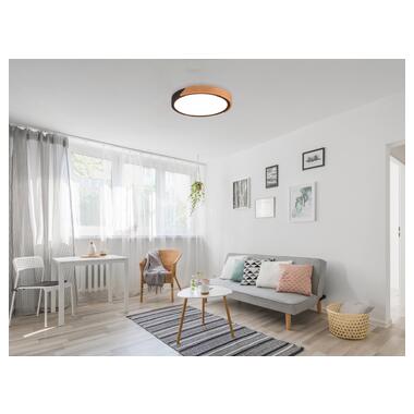 Потолочный светильник REALITY R67201132 JANO фото №5