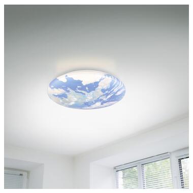 Потолочный светильник REALITY R67471100 TERRA фото №3