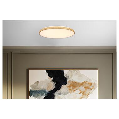 Потолочный светильник Candellux 16-33949 TENS фото №4