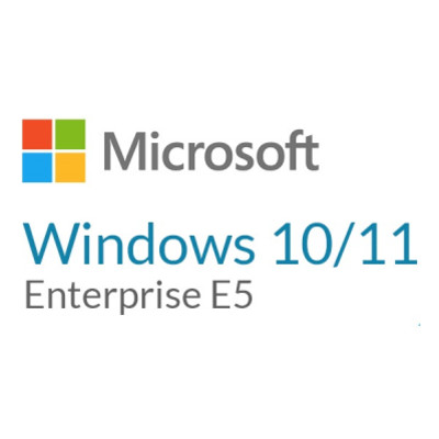 Операційна система Microsoft Windows 10/11 Enterprise E5 P1Y Annual License (CFQ7TTC0LFNW_0002_P1Y_A) фото №1