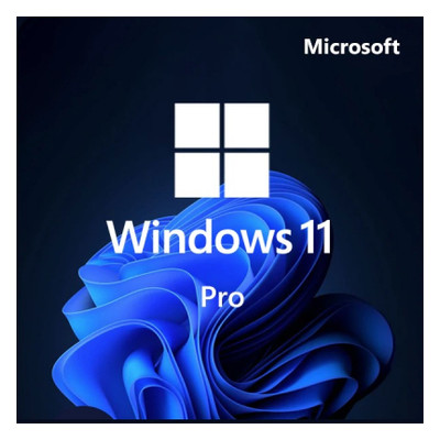 Операційна система Microsoft Win Pro 11 64-bit All Lng PK Lic Online DwnLd NR Конверт (FQC-10572-ESD) фото №1