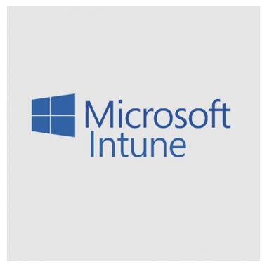 Офісний додаток Microsoft Intune Storage Add-on P1Y Annual License (CFQ7TTC0LCH4_0006_P1Y_A) фото №1