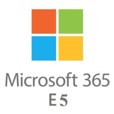 Офіс Microsoft Office 365 E5 P1Y Annual License;IncludeOverage (CFQ7TTC0LF8S_0002_P1Y_A) фото №1