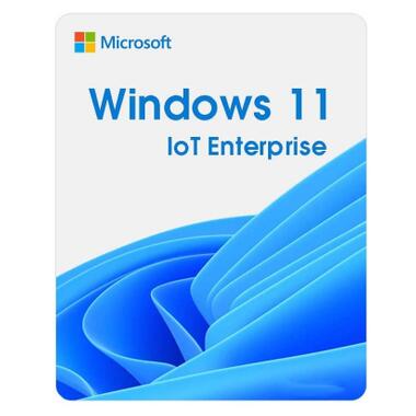 Операційна система Microsoft Windows 11 IoT Enterprise LTSC 2024 Perpetual, Commercial, OneTime (DG7GMGF0PP49_0001) фото №1