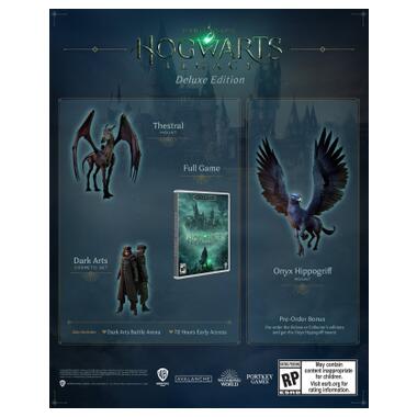 Гра Xbox Hogwarts Legacy. Deluxe Edition, BD диск (5051895415603) фото №12