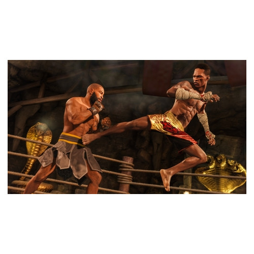 Програмний продукт EA SPORTS UFC 4 [PS4, Russian subtitles] (1055619) фото №3