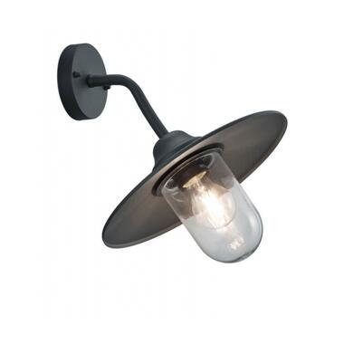 Уличное бра TRIO BRENTA 201760142 фото №1