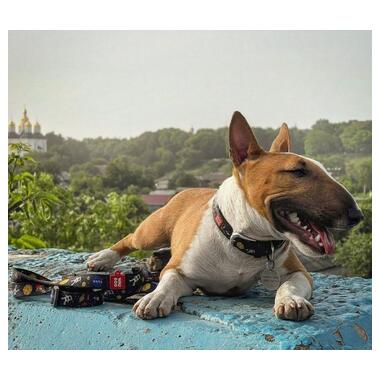 Повідець для собак нейлоновий Waudog Nylon NASA регульований 25 мм x 152-183 см (5314) (4823089325705) фото №6
