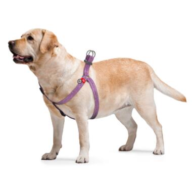 Шлея для собак WAUDOG Re-cotton з QR-паспортом L фіолетова (03339) фото №5