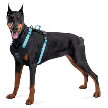 Шлея для собак WAUDOG Nylon безпечна з QR паспортом S блакитна (52472) фото №3