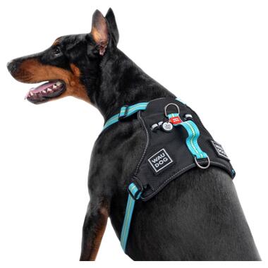 Шлея для собак WAUDOG Nylon безпечна з QR паспортом S блакитна (52472) фото №4