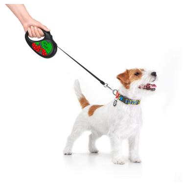 Повідок для собак WAUDOG R-leash Калина світловідбиваюча стрічка S 5 м (8124-0228-01) фото №2