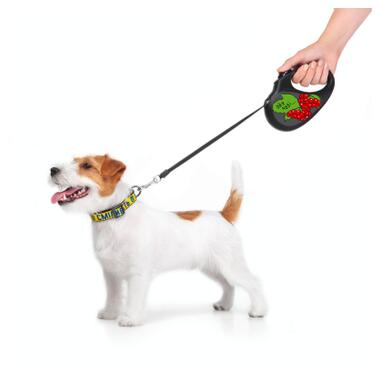 Повідок для собак WAUDOG R-leash Калина світловідбиваюча стрічка S 5 м (8124-0228-01) фото №5