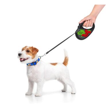 Повідок для собак WAUDOG R-leash Калина світловідбиваюча стрічка XS 3 м (8123-0228-01) фото №4