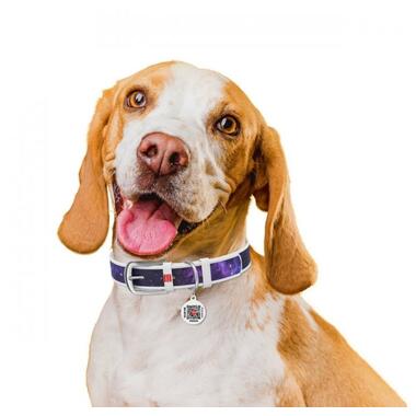 Нашийник для собак шкіряний WAUDOG Design з QR паспортом, малюнок NASA21, L, Ш 25 мм, Дл 38-49 см білий (3605-0148-15) (4823089337029) фото №4