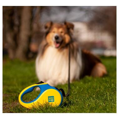 Повідок для собак WAUDOG R-leash Colors of freedom світловідбиваюча стрічка XS 3 м (380-4020) фото №11