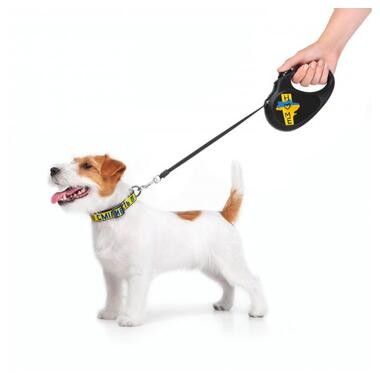 Повідок для собак WAUDOG R-leash Дім світловідбиваюча стрічка XS 3 м (8123-0230-01) фото №8