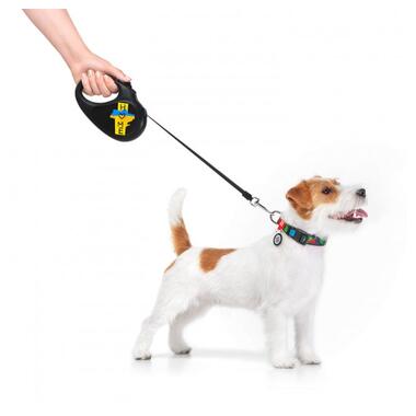 Повідок для собак WAUDOG R-leash Дім світловідбиваюча стрічка XS 3 м (8123-0230-01) фото №5
