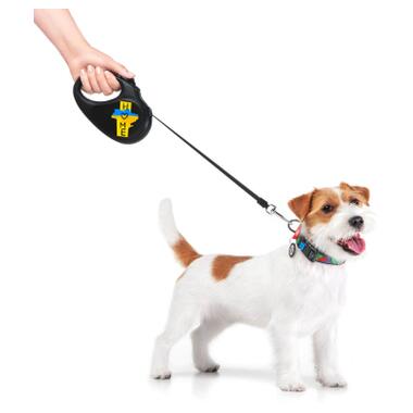 Повідок для собак WAUDOG R-leash Дім світловідбиваюча стрічка XS 3 м (8123-0230-01) фото №15