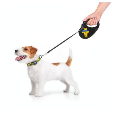 Повідок для собак WAUDOG R-leash Дім світловідбиваюча стрічка XS 3 м (8123-0230-01) фото №17