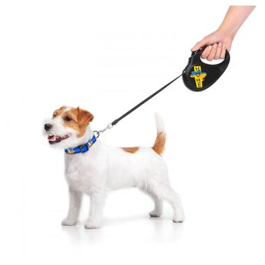 Повідок для собак WAUDOG R-leash Дім світловідбиваюча стрічка XS 3 м (8123-0230-01) фото №7