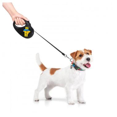 Повідок для собак WAUDOG R-leash Дім світловідбиваюча стрічка XS 3 м (8123-0230-01) фото №6