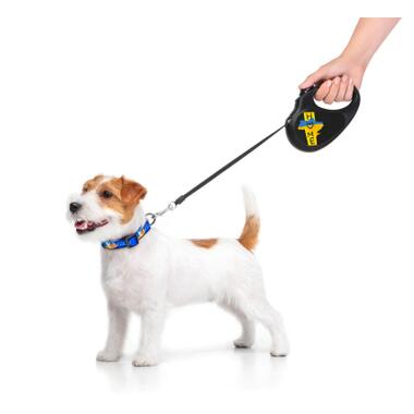 Повідок для собак WAUDOG R-leash Дім світловідбиваюча стрічка XS 3 м (8123-0230-01) фото №16