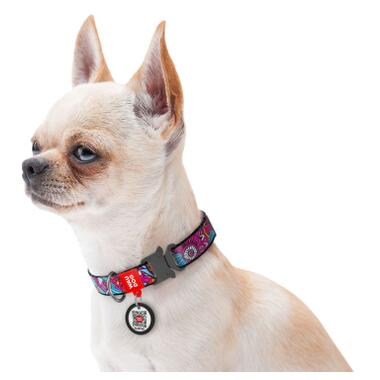 Нашийник для собак нейлоновий WAUDOG Nylon c QR паспортом, малюнок Літо, металева пряжка-фастекс, Ш 15 мм, Дл 25-35 см (5166) (4823089321592) фото №3
