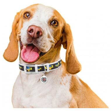Нашийник для собак шкіряний WAUDOG Design з QR паспортом, малюнок Будинок, XS, Ш 12 мм, Дл 20-28 см, білий (3602-0230-15) (4823089353814) фото №3