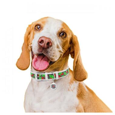 Нашийник для собак шкіряний WAUDOG Design з QR паспортом, малюнок Калина, L, Ш 25 мм, Дл 38-49 см білий (3605-0228-15) (4823089353968) фото №3