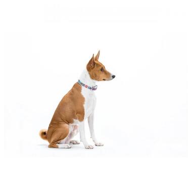 Нашийник для собак шкіряний WAUDOG Design з QR паспортом, малюнок Літо, Ш 25 мм, Дл 38-49 см білий (378215) (4823089309842) фото №5