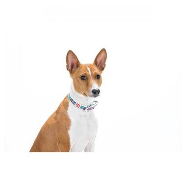 Нашийник для собак шкіряний WAUDOG Design з QR паспортом, малюнок Літо, Ш 25 мм, Дл 38-49 см білий (378215) (4823089309842) фото №4