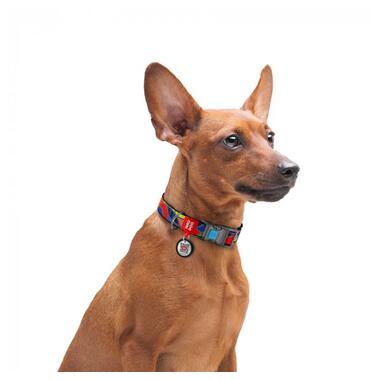 Нашийник для собак нейлоновий WAUDOG Nylon c QR паспортом, малюнок Вітраж, пластиковий фастекс, Ш 20 мм, Дл 28-40 см (4577) (4823089312309) фото №4