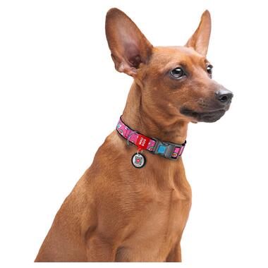 Нашийник для собак нейлоновий WAUDOG Nylon c QR паспортом, малюнок Однороги, пластиковий фастекс, Ш 25 мм, Дл 33-49 см (4759) (4823089316963) фото №7